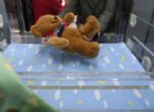 Open day al Bambino Ges per la giornata dell'accoglienza