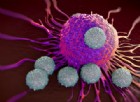 La tecnica ‘taglia e incolla’ del Dna che fa regredire i tumori