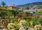 Ai Musei di Nervi, un weekend Di rose ed altre meraviglie... percorso di arte e sapori
