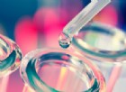 Nuove speranze per la cura del cancro: guarigioni miracolose dalle cellule neutrofile
