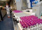 Salute, Fdi: Un minore su 4 positivo alla Tbc. Chiarezza su procedure scuola Morandi