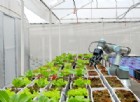Dalle startup la trasformazione sostenibile dell'agroalimentare