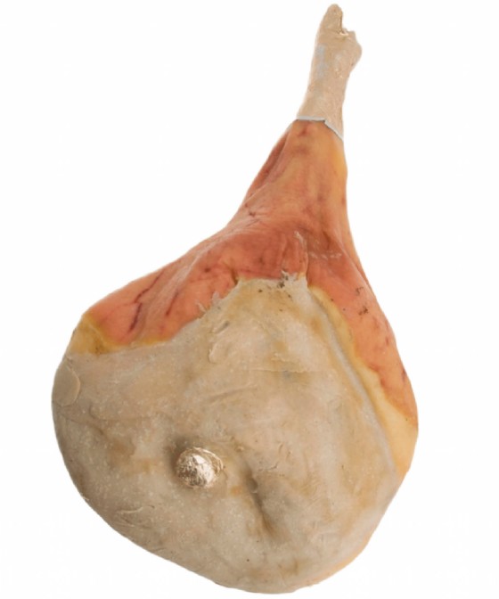 Un intero prosciutto di Sauris da circa 12 kg