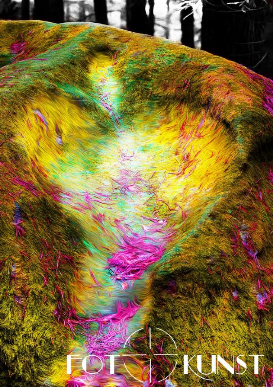 Una delle immagini di Barbara Essl