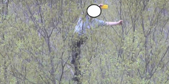 Lo sprovveduto che ha cercato di fotografare i grifoni