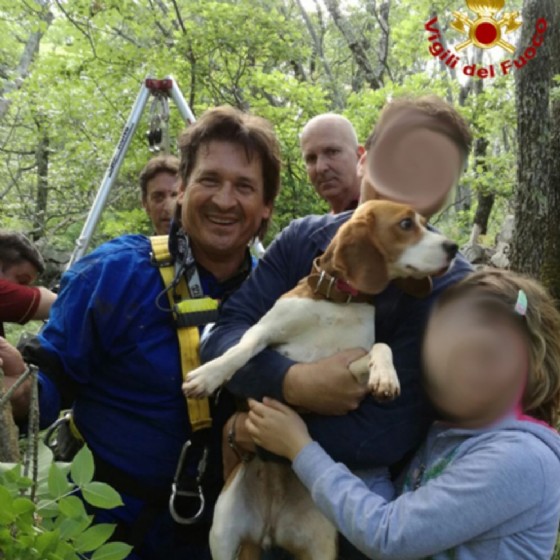 Il cane salvato dai Vigili del Fuoco