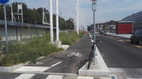 Pista ciclabile invasa dalle piante