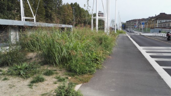 Pista ciclabile invasa dalle piante