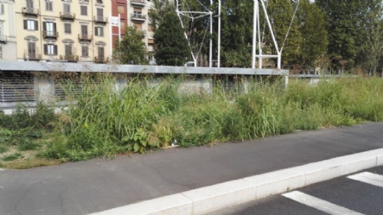 Pista ciclabile invasa dalle piante