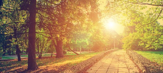 Appuntamento finale al Parco Desio di Udine (© AdobeStock | Ruslan Ivantsov) Appuntamento finale al Parco Desio di Udine (© AdobeStock | Ruslan Ivantsov)