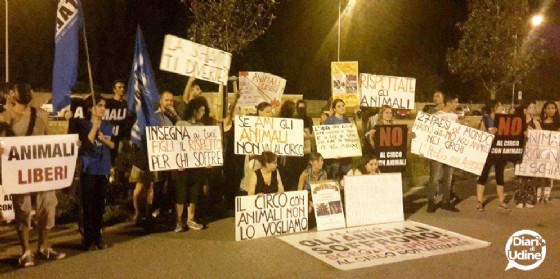 La protesta degli animalisti davanti al circo
