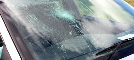 Muore a 80 anni investita da un'auto