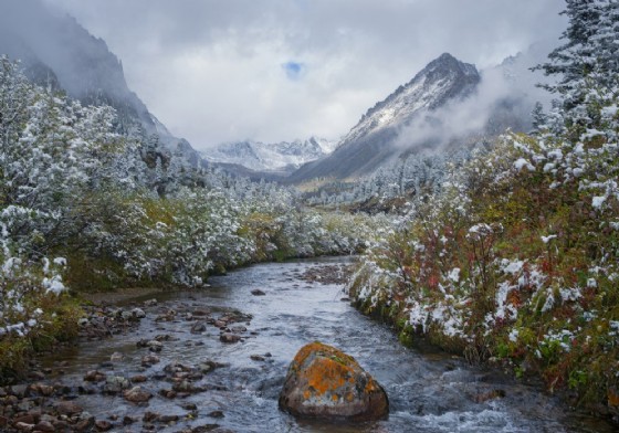 La Taiga siberiana