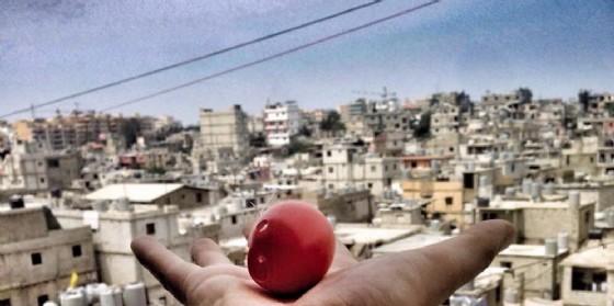 Storia del magabondo che fa sorridere i bimbi della Siria