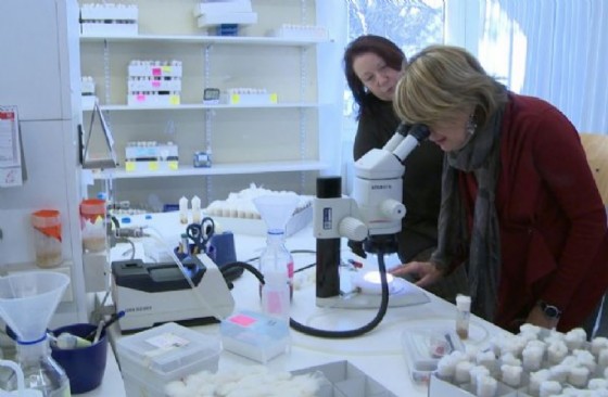 Maria Sandra Telesca (Assessore regionale Salute) visita l'International Centre for Genetic Engineering and Biotechnology / ICGEB