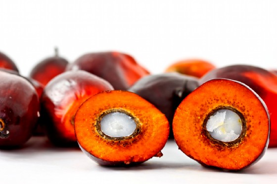 L'olio di Palma presenta bassissime quantità di 3-MCPD