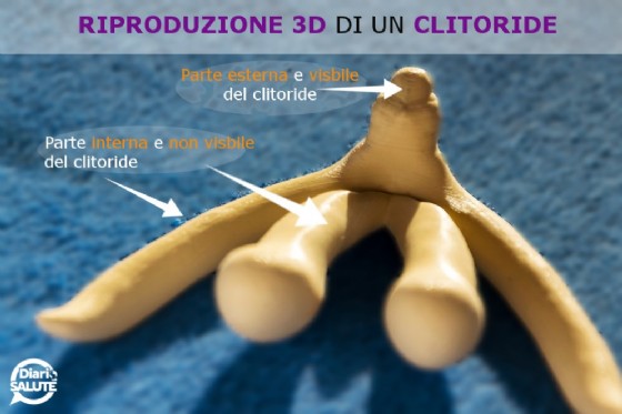 Per aumento delle dimensioni del membro