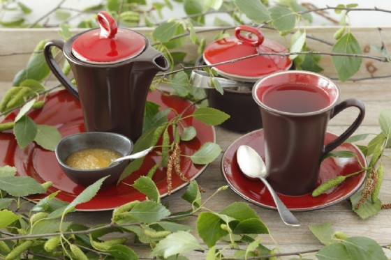 Tisana con foglie di betulla
