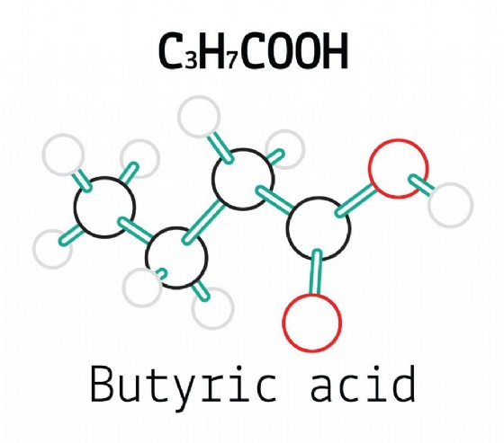 Acido butirrico