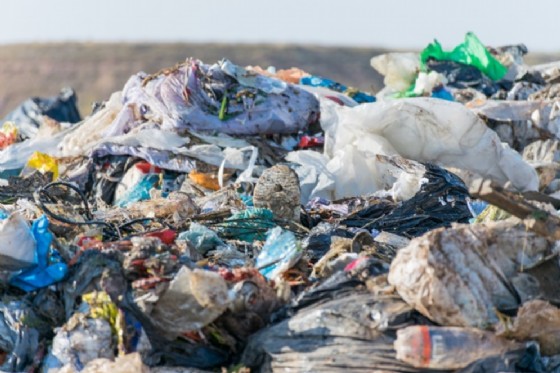Discarica abusiva a Gorizia: la Regione incontrerà il Comune e l'Arpa (© Adobe Stock) Discarica abusiva a Gorizia: la Regione incontrerà il Comune e l'Arpa (© Adobe Stock)