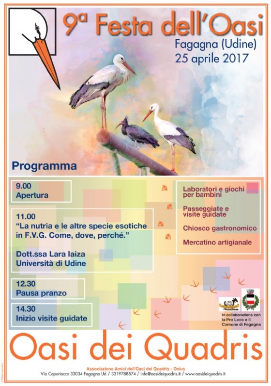 9^ Festa dell'Oasi: appuntamento con le cicogne di Fagagna
