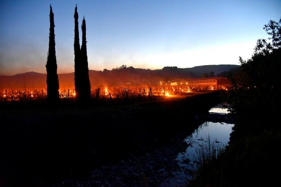 Si accendono fuori tra i filari per evitare il gelo