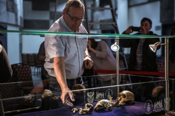 Dr Peter Schmid from The University of Zurich prepares «Neo», one the most complete hominid fossils ever discovered - technically even more complete than the famous Lucy fossil