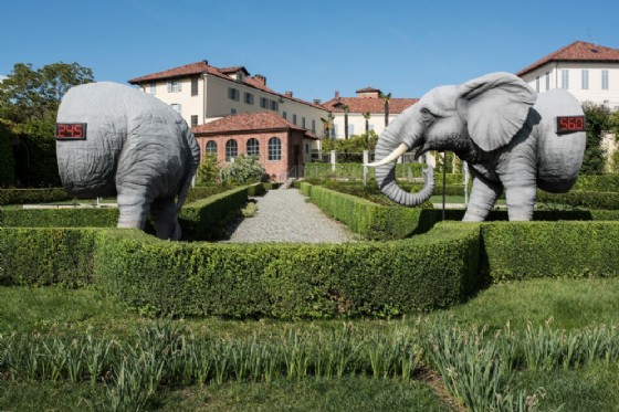 Altra spettacolare installazione legata all'evento di Selvatica