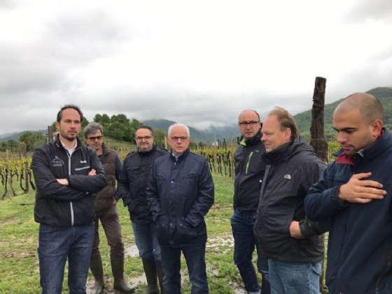 Cristiano Shaurli (Assessore regionale Risorse agricole e forestali) durante il sopralluogo a coltivazioni regionali (© Regione Friuli Venezia Giulia) Cristiano Shaurli (Assessore regionale Risorse agricole e forestali) durante il sopralluogo a coltivazioni regionali (© Regione Friuli Venezia Giulia)