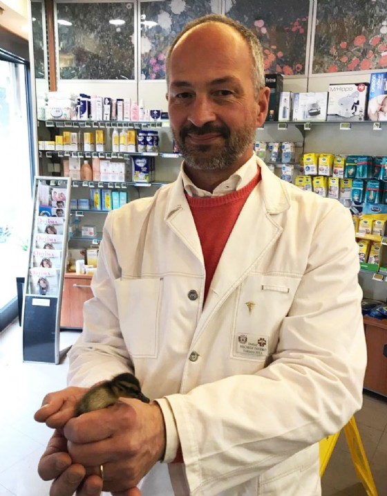 Anatroccolo 'disperso' in via De Rubeis salvato da tre bambini