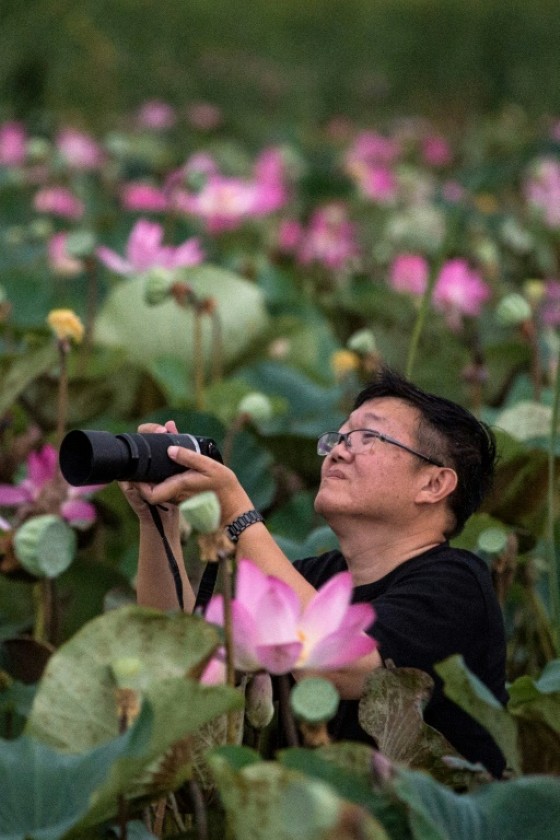 Thailand struggles to balance its lucrative tourism industry with preserving the environment