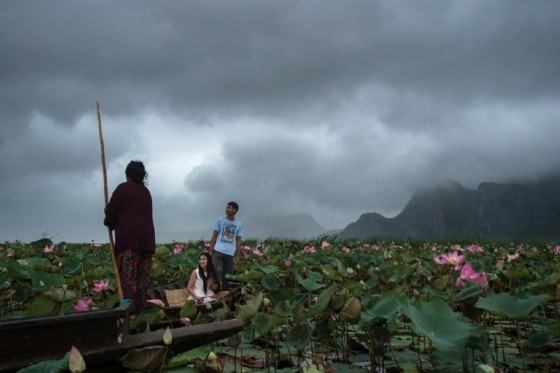 In recent years rangers have tried to clean up the Thai park and this year were rewarded with a sea of pink flowers