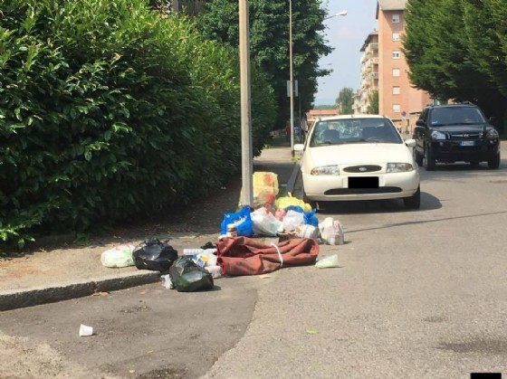 La foto pubblicata su Internet da Moscarola (© Diario di Biella) La foto pubblicata su Internet da Moscarola (© Diario di Biella)
