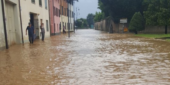 Risano
