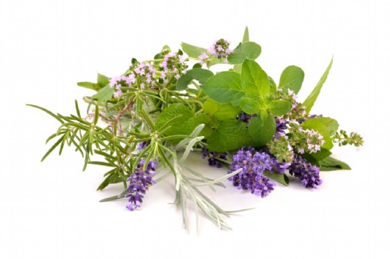 A Quincinetto la sagra delle ajucche (© Shutterstock.com) A Quincinetto la sagra delle ajucche (© Shutterstock.com)