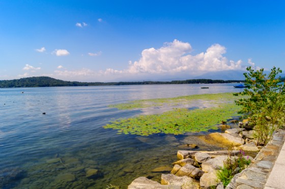 Azeglio arriva «Coregone? Si grazie!» (© Shutterstock.com) Azeglio arriva «Coregone? Si grazie!» (© Shutterstock.com)