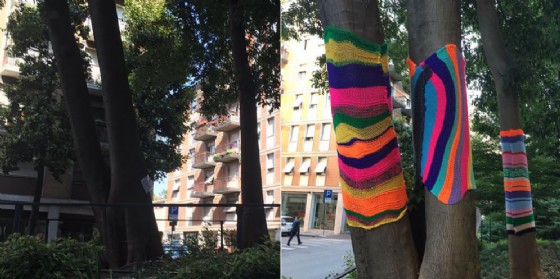 Rubate le 'coperte colorate' che abbellivano gli alberi di 'Villaggio dei Pecile' (© Villaggio dei Pecile) Rubate le 'coperte colorate' che abbellivano gli alberi di 'Villaggio dei Pecile' (© Villaggio dei Pecile)