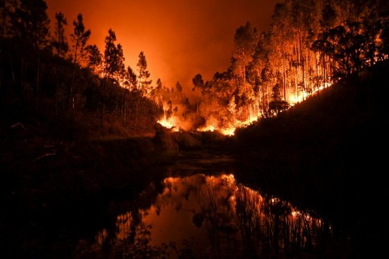 The ferocious forest fires in central Portugal killed at least 62 people