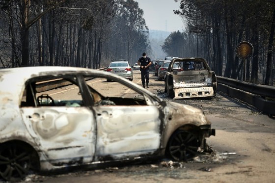 More than 50 people have died and dozens more have been injured in the Portugal wildfires, some while trying to drive to safety