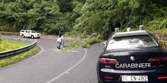 Maltempo sul Friuli: si contano i danni
