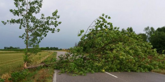 Maltempo sul Friuli: si contano i danni