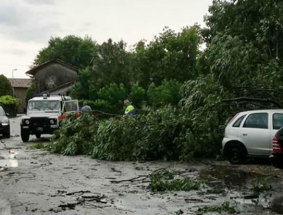 Maltempo sul Friuli: si contano i danni