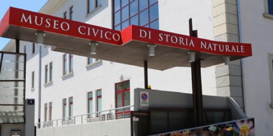Sarà possibile visitare il museo in compagnia degli studenti del Liceo Scientifico “Oberdan” (© Museo Civico di Storia Naturale) Sarà possibile visitare il museo in compagnia degli studenti del Liceo Scientifico “Oberdan” (© Museo Civico di Storia Naturale)