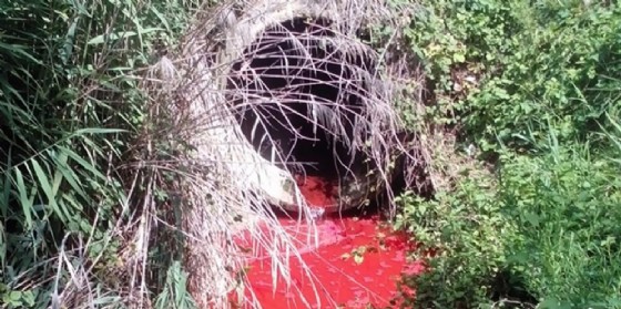 Arpa, pigmenti colorati nelle acque di scarico di Azzano Decimo (© Arpa Fvg) Arpa, pigmenti colorati nelle acque di scarico di Azzano Decimo (© Arpa Fvg)