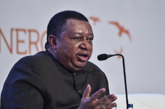 OPEC Secretary General Mohammad Barkindo speaks during the 22nd World Petroleum Congress in Istanbul.