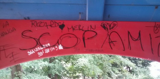 Frasi oscene agli Zumaglini