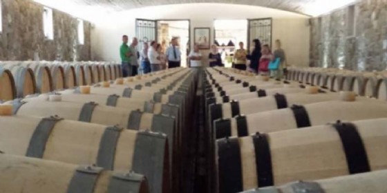 Enotour 2017: da Lignano alla scoperta di Corno di Rosazzo, Prepotto e i loro vini (© Enotour 2017) Enotour 2017: da Lignano alla scoperta di Corno di Rosazzo, Prepotto e i loro vini (© Enotour 2017)