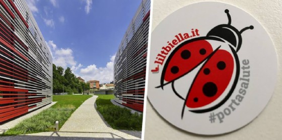 L'adesivo della Coccinella #portasalute è uno dei gadget LILT Biella