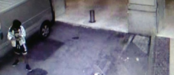 Un giovane di 22 anni è stato ripreso da una videocamera di sorveglianza mentre rubava un portafoglio (© ANSA) Un giovane di 22 anni è stato ripreso da una videocamera di sorveglianza mentre rubava un portafoglio (© ANSA)