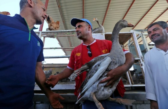 Iraqis gather at a market in Gogjali on the eastern edges of Mosul, on July 28, 2017